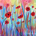Poppy Symphony
